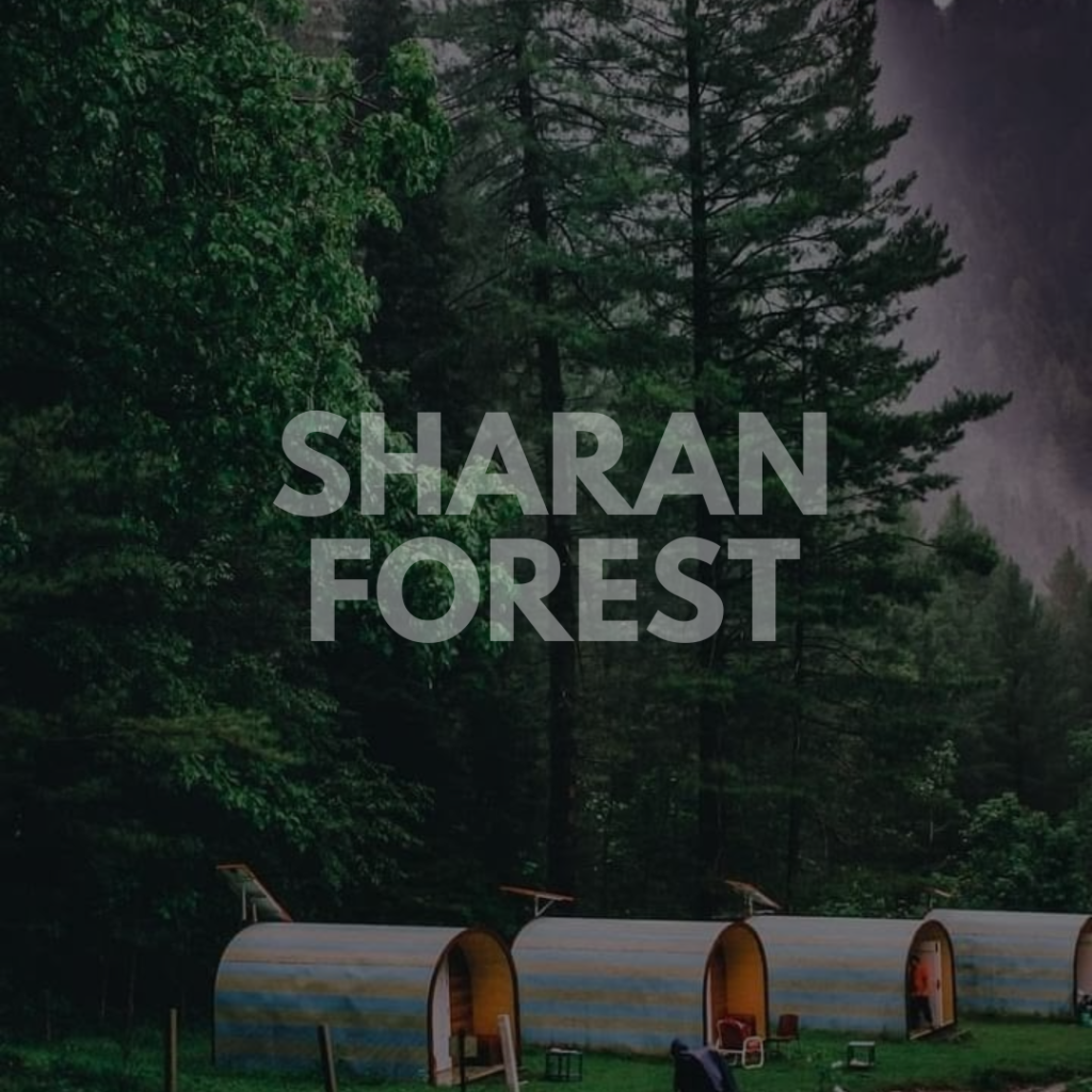 Sharan forest
